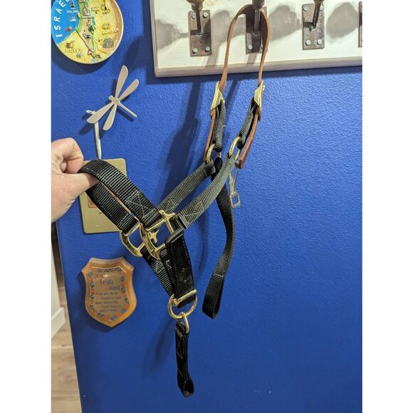 Safety Horse Halter (Missing Strap) - Picture 2 of 4